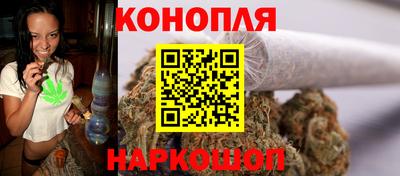 крисы Ставрополь